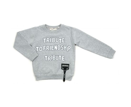 Набор детской одежды Breeze "FRIENDSHIP" (14775-122B-gray), изображение 2 Набор детской одежды Breeze "FRIENDSHIP" (14775-122B-gray), изображение 2