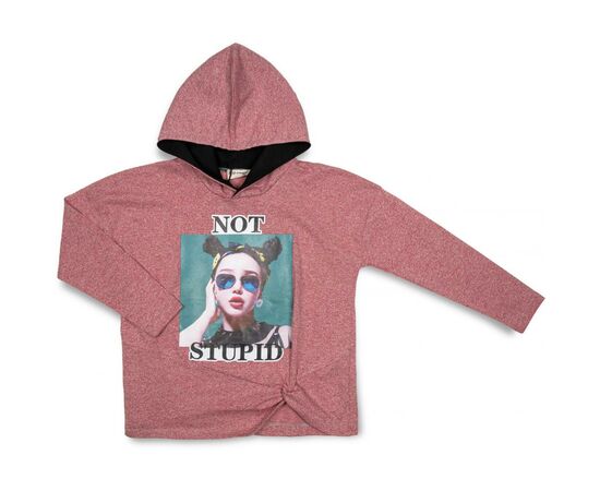 Кофта RG "NOT STUPID" (3111-140G-red)