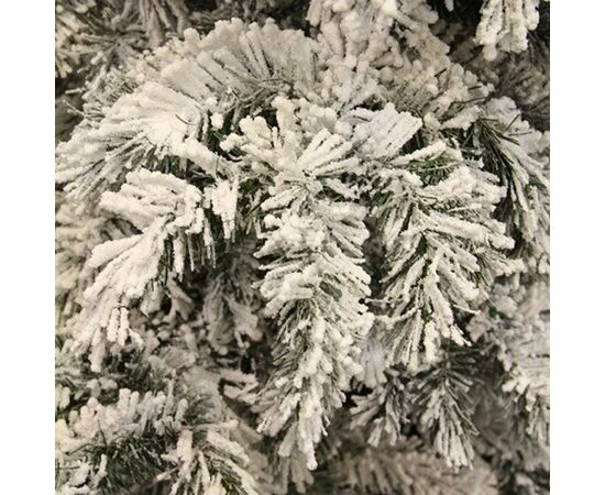 Рождественский венок Black Box Trees Dinsmore Frosted 45 см (8718861289022), изображение 2 Рождественский венок Black Box Trees Dinsmore Frosted 45 см (8718861289022), изображение 2