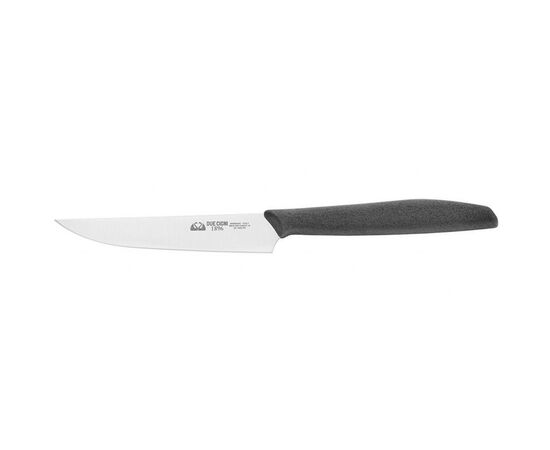 Кухонный нож Due Cigni 1896 Steak Knife 105 mm (1003 PP)