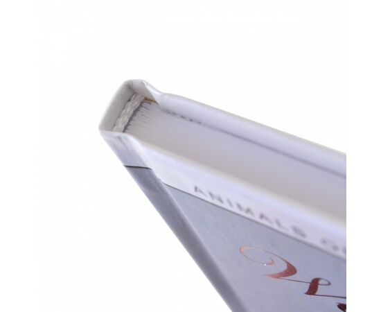 Блокнот Yes 100*200/64 л "Wild force" клетка (151475), изображение 5 Блокнот Yes 100*200/64 л "Wild force" клетка (151475), изображение 5