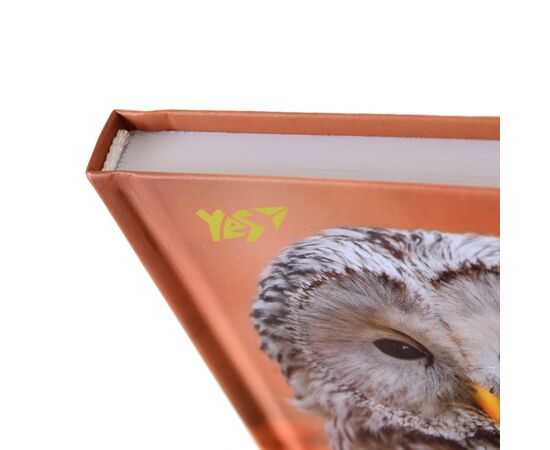Блокнот Yes 140*185/96 л "Wild force" линия (151483), изображение 4 Блокнот Yes 140*185/96 л "Wild force" линия (151483), изображение 4