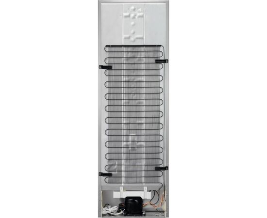 Холодильник Electrolux RRT5MF38W1, изображение 3 Холодильник Electrolux RRT5MF38W1, изображение 3