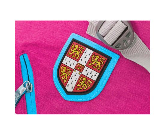 Рюкзак школьный Yes CA058 Cambridge розовый (552948), изображение 2 Рюкзак школьный Yes CA058 Cambridge розовый (552948), изображение 2