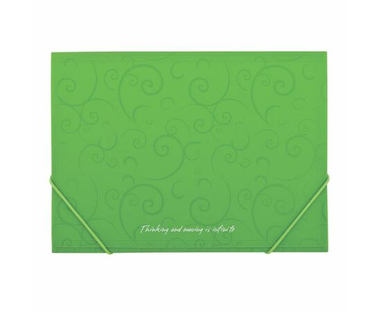 Папка на резинках Buromax А4, BAROCCO, light green (BM.3914-15)
