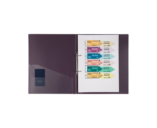 Папка на кольцах Axent А4 с 2-мя кольцами 700 мкм 25 мм Сливовая (1207-11-A), изображение 2