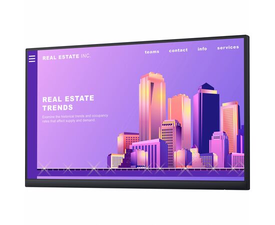 Монитор Dell P2222HWOS (210-BBBF), изображение 2 Монитор Dell P2222HWOS (210-BBBF), изображение 2