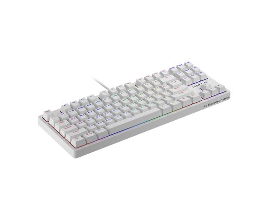 Клавиатура Hator Rockfall EVO TKL Kailh Optical White (HTK-631), изображение 3 Клавиатура Hator Rockfall EVO TKL Kailh Optical White (HTK-631), изображение 3