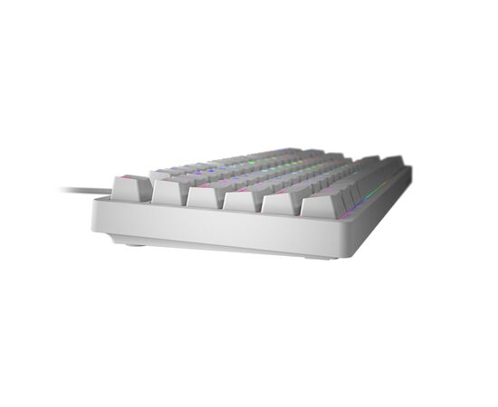 Клавиатура Hator Rockfall EVO TKL Kailh Optical White (HTK-631), изображение 4 Клавиатура Hator Rockfall EVO TKL Kailh Optical White (HTK-631), изображение 4