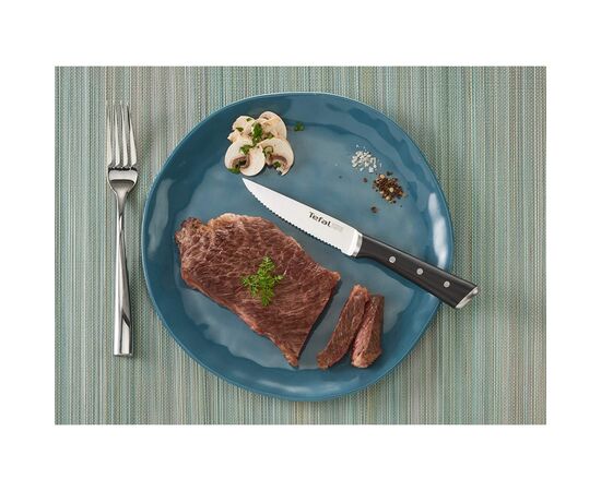 Набор ножей Tefal Ice Force для стейка 11 см 4 шт (K232S414), изображение 6 Набор ножей Tefal Ice Force для стейка 11 см 4 шт (K232S414), изображение 6