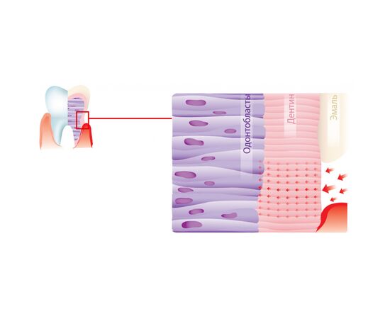 Зубная паста Dr. Wild Emofluor Daily Care со стабилизированным фторидом олова 75 мл (7611841701686), изображение 2