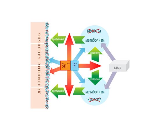 Зубная паста Dr. Wild Emofluor Daily Care со стабилизированным фторидом олова 75 мл (7611841701686), изображение 5