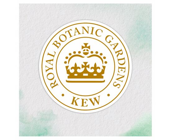 Шампунь Herbal Essences Алое й олія авокадо 380 мл (8001841841434), зображення 8 Шампунь Herbal Essences Алое й олія авокадо 380 мл (8001841841434), зображення 8