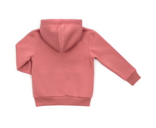 Кофта Cloise толстовка на флисе (CL0125001-128G-pink), изображение 2 Кофта Cloise толстовка на флисе (CL0125001-128G-pink), изображение 2