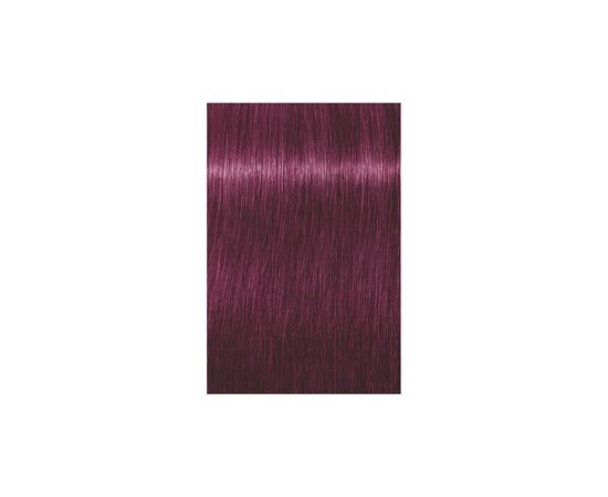 Краска для волос Schwarzkopf Professional Igora Royal 0-89 60 мл (4045787205787), изображение 2 Краска для волос Schwarzkopf Professional Igora Royal 0-89 60 мл (4045787205787), изображение 2