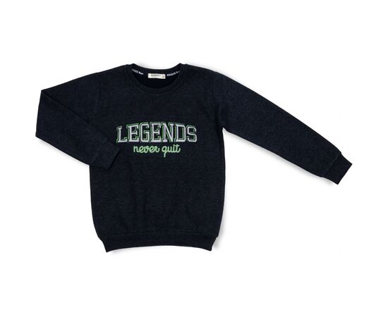 Кофта Breeze "LEGENDS" (16456-128B-blue)