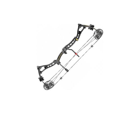 Лук Poe Lang Axis 30-70 LBS Black (C0-039B)