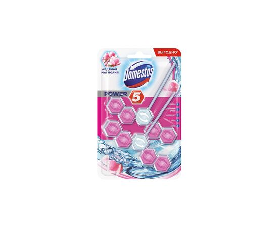 Туалетный блок Domestos Power 5 Ледяная Магнолия 2 х 55 г (8710522587638)
