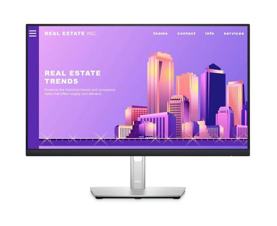 Монитор Dell P2422H (210-AZYX)