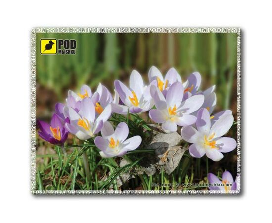 Коврик для мышки Pod Mishkou Весна-Крокуси