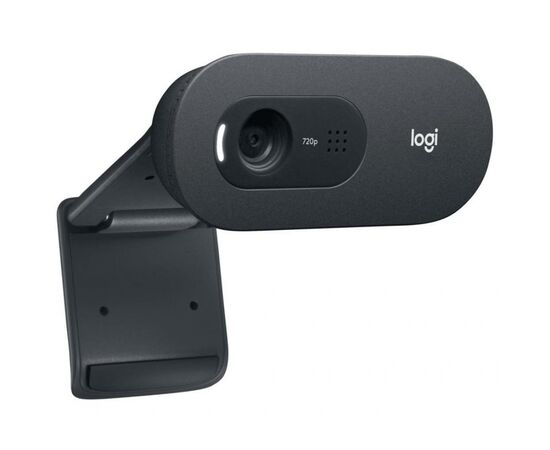 Веб-камера Logitech C505 HD Black (960-001364), изображение 3 Веб-камера Logitech C505 HD Black (960-001364), изображение 3