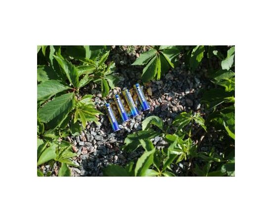 Батарейка Panasonic LR03 PANASONIC Evolta * 4 (LR03EGE/4BP), зображення 4 Батарейка Panasonic LR03 PANASONIC Evolta * 4 (LR03EGE/4BP), зображення 4