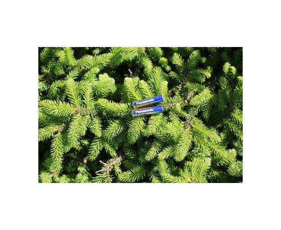 Батарейка Panasonic LR03 PANASONIC Evolta * 4 (LR03EGE/4BP), зображення 5 Батарейка Panasonic LR03 PANASONIC Evolta * 4 (LR03EGE/4BP), зображення 5