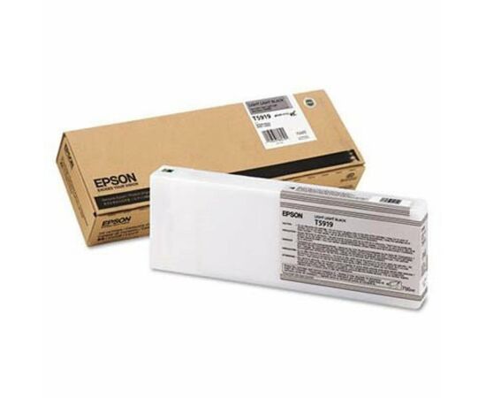 Картридж Epson St Pro 11880 light light black (C13T591900)
