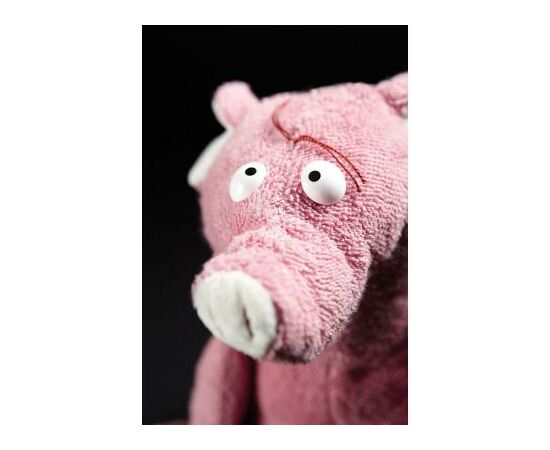 Мягкая игрушка Sigikid Beasts Поросенок 30 см (38380SK), изображение 7 Мягкая игрушка Sigikid Beasts Поросенок 30 см (38380SK), изображение 7