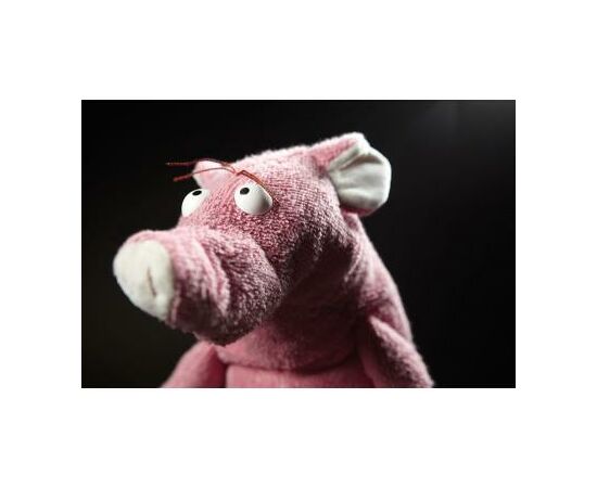 Мягкая игрушка Sigikid Beasts Поросенок 30 см (38380SK), изображение 9 Мягкая игрушка Sigikid Beasts Поросенок 30 см (38380SK), изображение 9