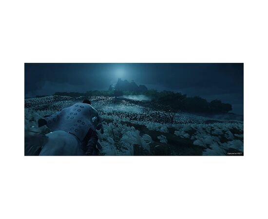 Гра Sony Ghost of Tsushima Director's Cut [PS4, Russian version] (9716594), зображення 4