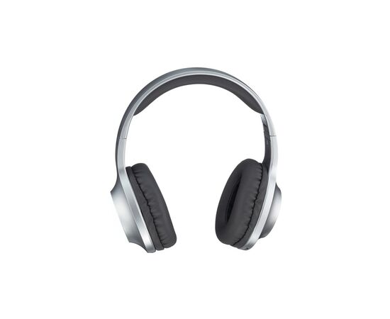 Наушники Panasonic RB-HX220BEE-S Gray (RB-HX220BEE-S), изображение 3 Наушники Panasonic RB-HX220BEE-S Gray (RB-HX220BEE-S), изображение 3