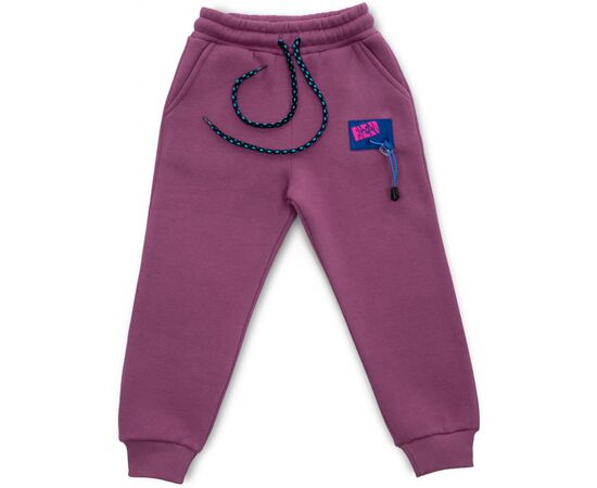 Штаны детские Cloise спортивные на флисе (CL0154012-152G-purple)