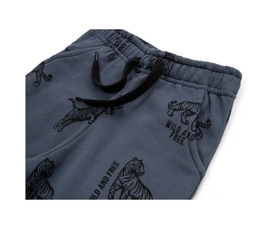 Штаны детские Breeze спортивные на флисе (16694-92B-gray), изображение 3 Штаны детские Breeze спортивные на флисе (16694-92B-gray), изображение 3