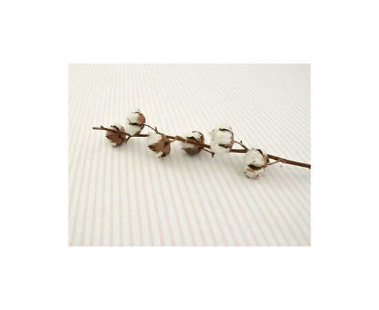 Простынь Руно бязь Бежевая полоска 175х215 см (73.114Б_Бежева смужка), изображение 4 Простынь Руно бязь Бежевая полоска 175х215 см (73.114Б_Бежева смужка), изображение 4