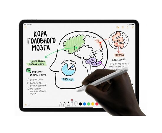 Стилус Apple Pencil (2‑го поколения) iPadPro11"/iPadPro12,9" (3-gen) (MU8F2ZM/A), изображение 2 Стилус Apple Pencil (2‑го поколения) iPadPro11"/iPadPro12,9" (3-gen) (MU8F2ZM/A), изображение 2