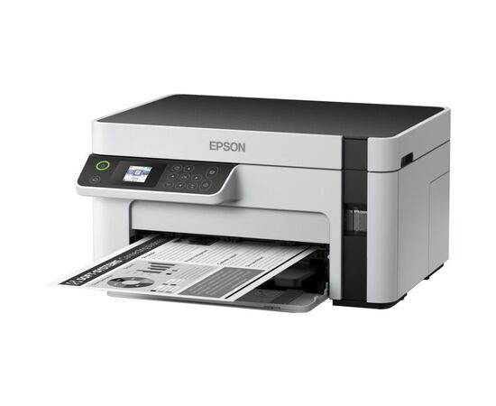Багатофункціональний пристрій Epson M2120 (C11CJ18404)