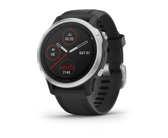 Смарт-годинник Garmin Fenix 6S Silver with Black Band (010-02159-01)