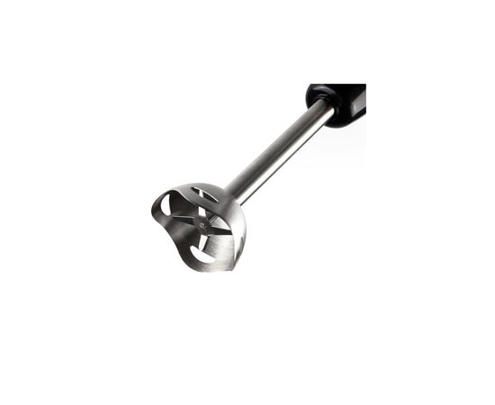 Блендер Eisen EBSS-600SCB, изображение 4 Блендер Eisen EBSS-600SCB, изображение 4