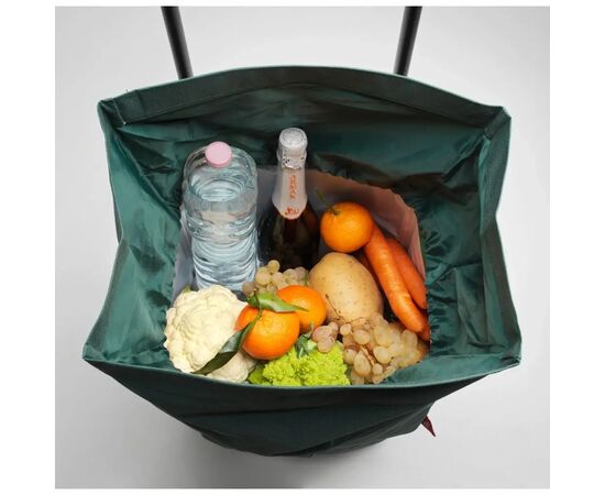 Сумка-тележка Gimi Koоl 60 Black (929081), изображение 2 Сумка-тележка Gimi Koоl 60 Black (929081), изображение 2