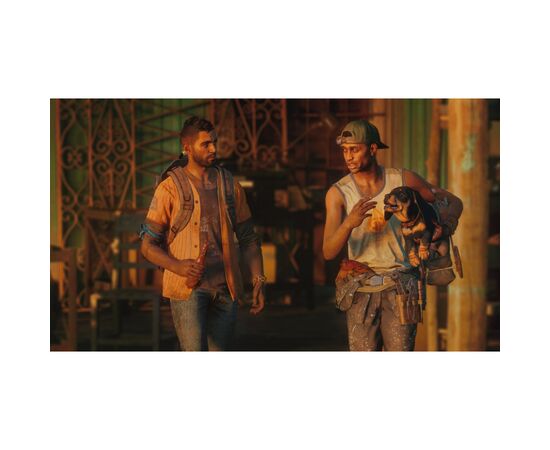 Гра Sony Far Cry 6 [PS4, Russian version] (PSIV746), зображення 6