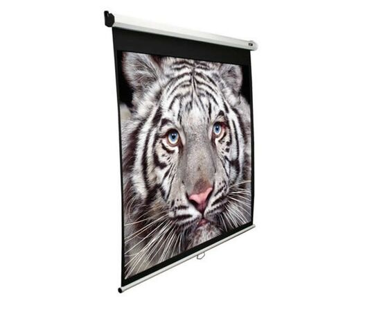 Проекційний екран M99NWS1 Elite Screens