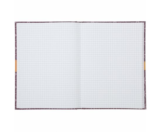 Блокнот Buromax Intenso А5 96 листов в клетку с твердой обложкой черный (BM.24511105-01), изображение 2 Блокнот Buromax Intenso А5 96 листов в клетку с твердой обложкой черный (BM.24511105-01), изображение 2