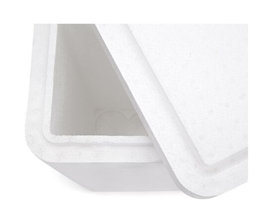 Термобокс Thermo Easy Cool 25 л (4823082711994), изображение 5 Термобокс Thermo Easy Cool 25 л (4823082711994), изображение 5