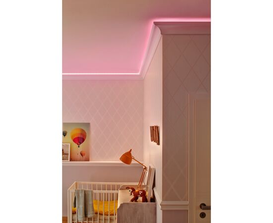 Светодиодная лента LEDVANCE NEON FLEX LEDVANCE 3M 4058075504707 1 Силікон 30000 19,00 10 (4058075504707), изображение 4 Светодиодная лента LEDVANCE NEON FLEX LEDVANCE 3M 4058075504707 1 Силікон 30000 19,00 10 (4058075504707), изображение 4