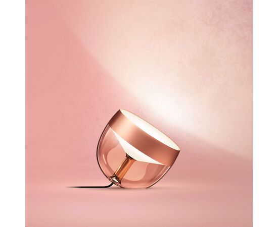 Настольная лампа Philips Hue Iris, Color, BT, DIM, медная (929002376801), изображение 6 Настольная лампа Philips Hue Iris, Color, BT, DIM, медная (929002376801), изображение 6