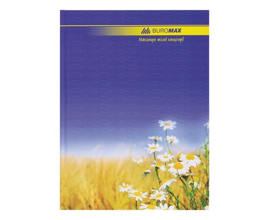 Канцелярская книга Buromax CLASSIC А4, 96 л., Линия, офсет, твердая ламинированная обло (BM.2401), изображение 2 Канцелярская книга Buromax CLASSIC А4, 96 л., Линия, офсет, твердая ламинированная обло (BM.2401), изображение 2