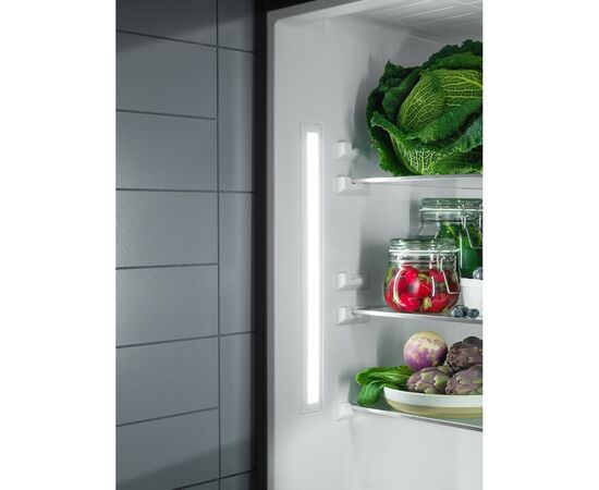 Холодильник Electrolux RNS8FF19S, изображение 2 Холодильник Electrolux RNS8FF19S, изображение 2