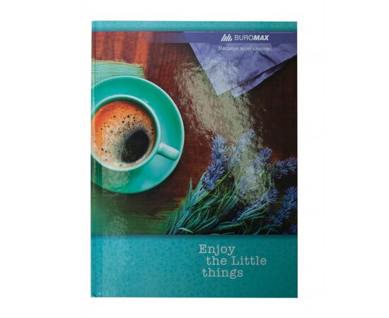 Канцелярська книга Buromax Romantic А4 в лінійку 96 аркушів (BM.2401-206)