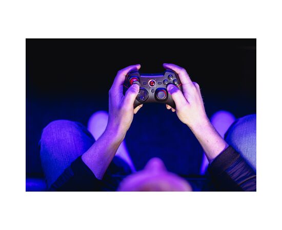 Геймпад Speedlink TORID Gamepad - Wireless - for PC-PS3 (SL-6576-BK-02), зображення 7 Геймпад Speedlink TORID Gamepad - Wireless - for PC-PS3 (SL-6576-BK-02), зображення 7